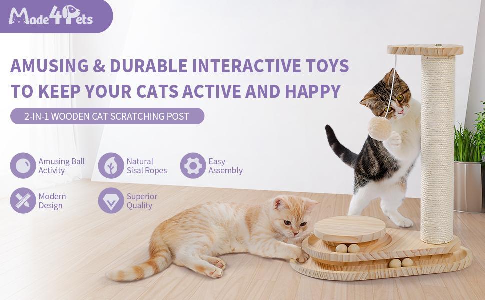 Kitten playing with cat scratcher ball track toy