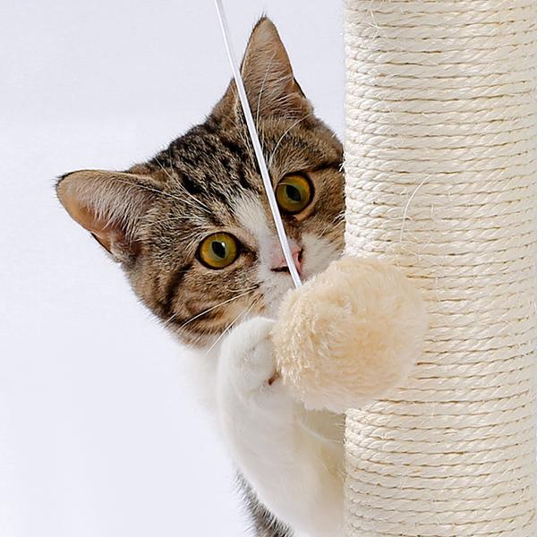 Cat scratcher and ball track toy detail view