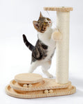2-in-1 cat scratcher with interactive ball track toy