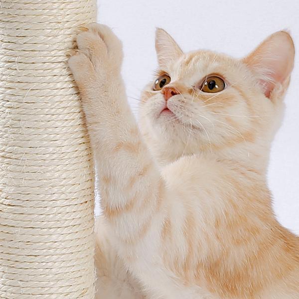 Round cat scratcher with balls