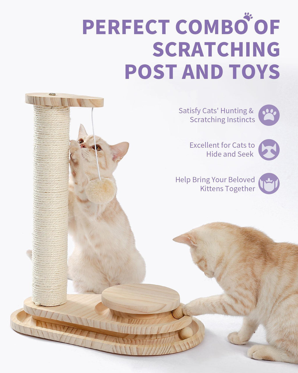 Interactive ball track cat toy for indoor cats