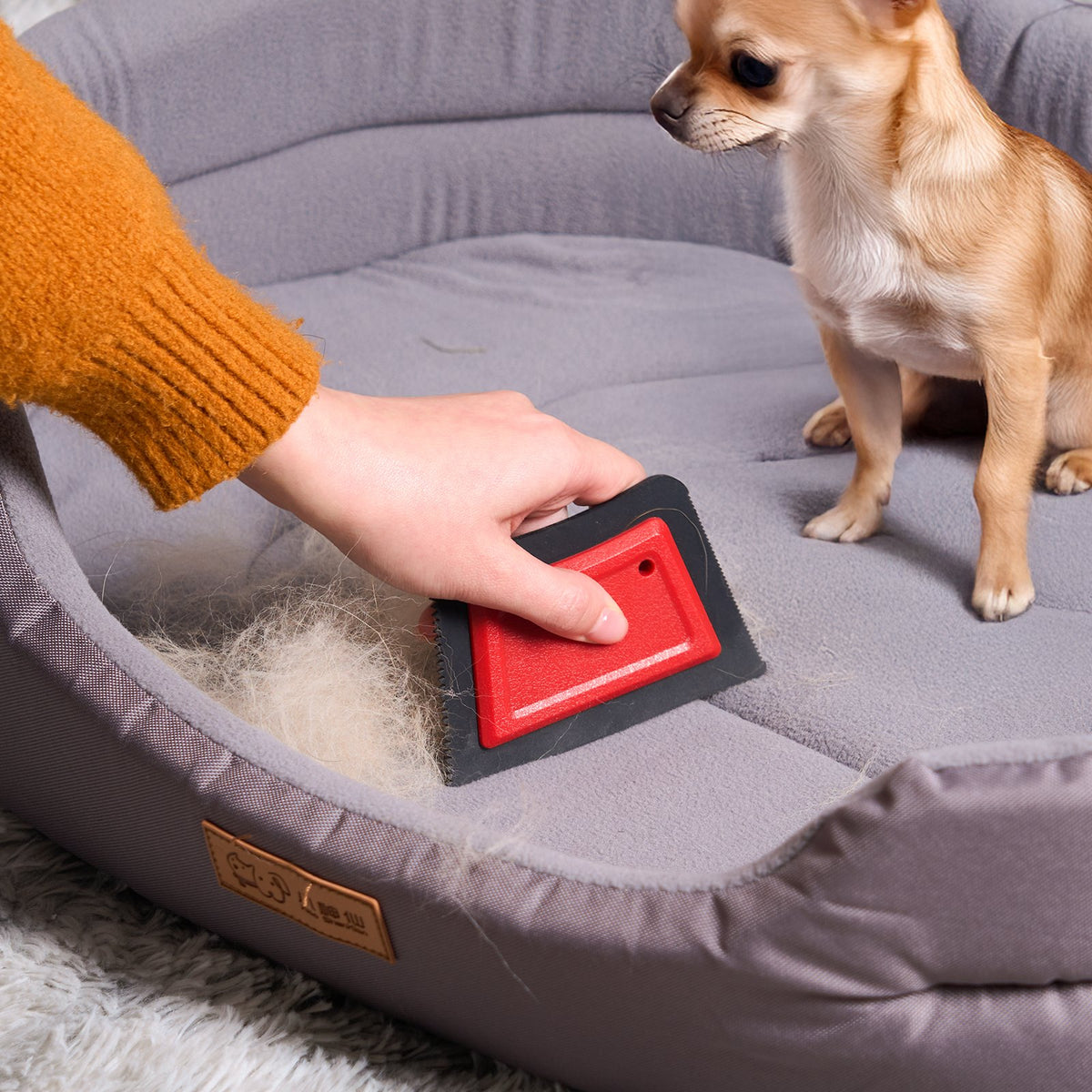 Reusable pet hair remover for couch, carpet and car