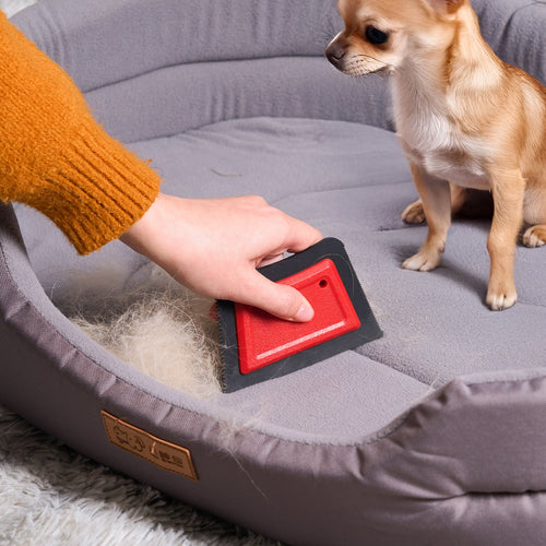 Reusable pet hair remover for couch, carpet and car