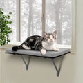 Cat napping on a window-mounted cat perch with plush velvet cushion